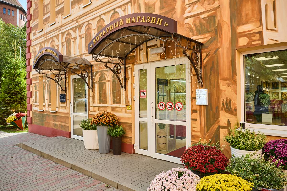 Светлогорск