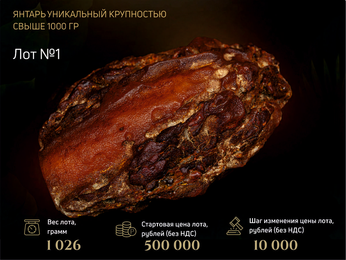 САМОРОДОК 2