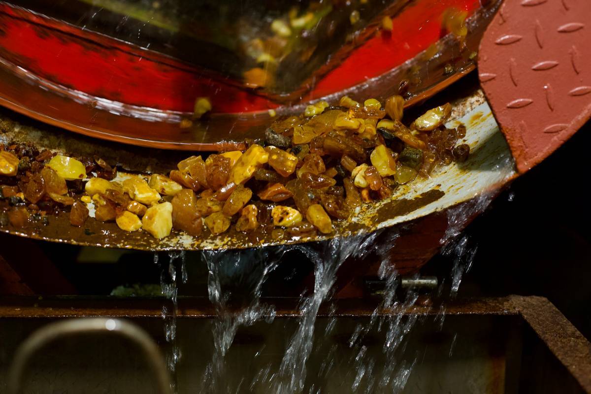 2024 03 01 10 10 13 10