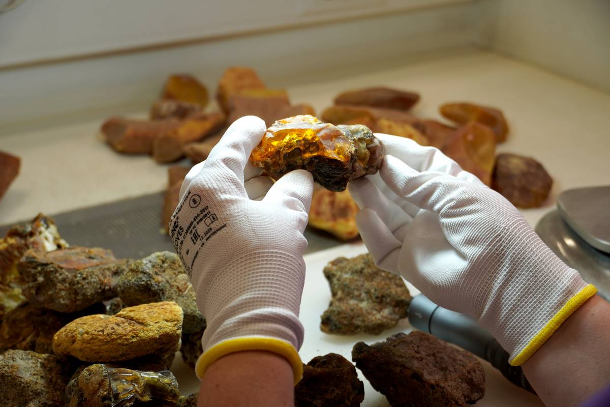 2024 03 01 10 10 13 10