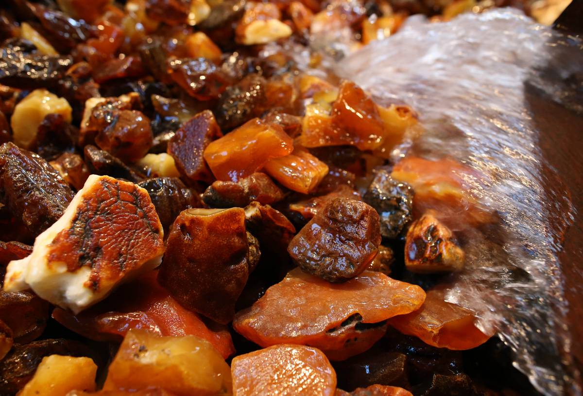 2024 03 01 10 10 13 10