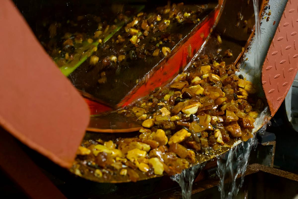 2024 03 01 10 10 13 15