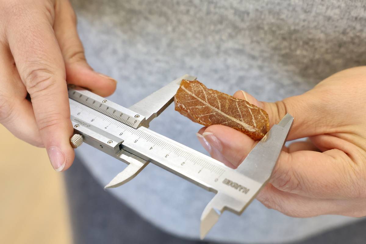 IMG 20260424 095840 038