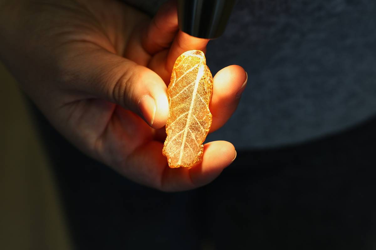 IMG 20260424 095840 038